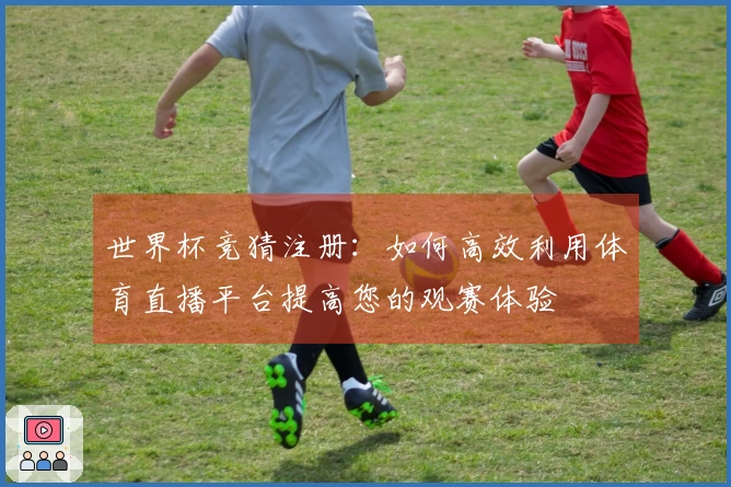 世界杯竞猜注册：如何高效利用体育直播平台提高您的观赛体验