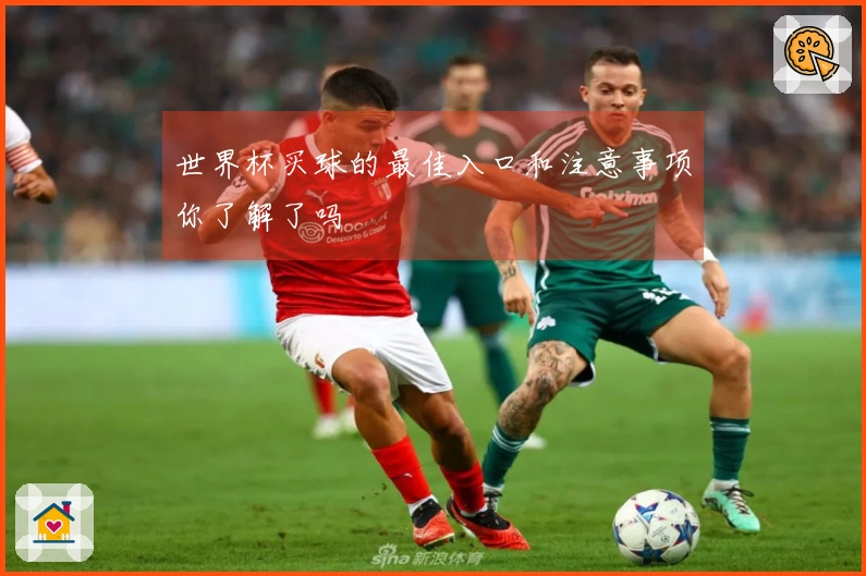 世界杯买球的最佳入口和注意事项你了解了吗