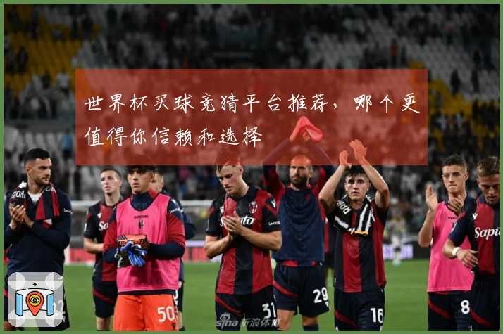 世界杯买球竞猜平台推荐,哪个更值得你信赖和选择