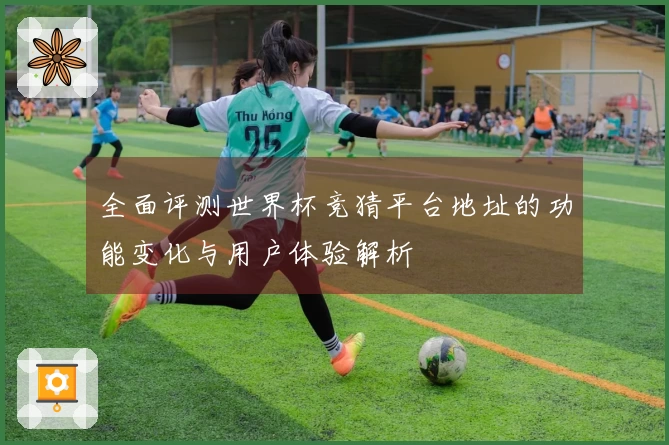 全面评测世界杯竞猜平台地址的功能变化与用户体验解析