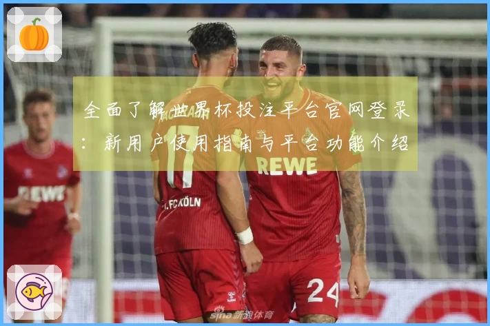全面了解世界杯投注平台官网登录：新用户使用指南与平台功能介绍