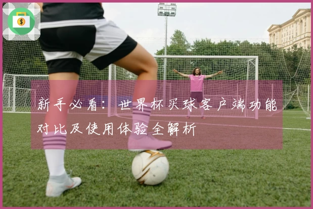 新手必看：世界杯买球客户端功能对比及使用体验全解析