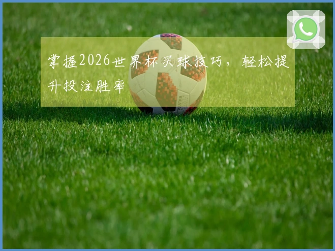 掌握2026世界杯买球技巧,轻松提升投注胜率