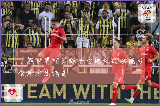 了解世界杯买球平台地址的功能与使用方法指南