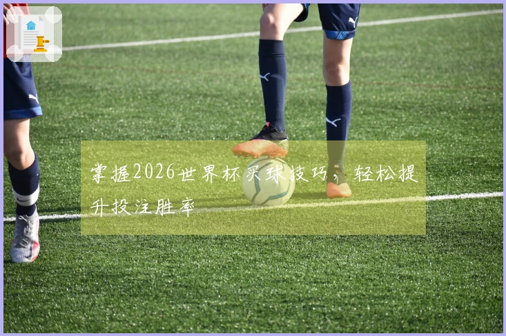 掌握2026世界杯买球技巧，轻松提升投注胜率